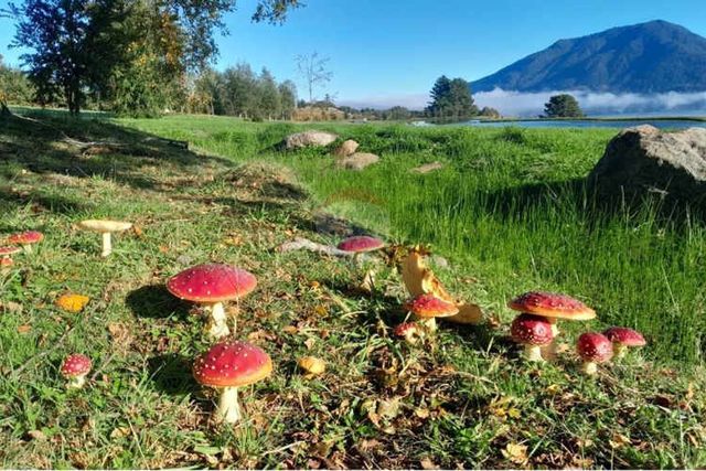 Hermosa parcela con 2 casas