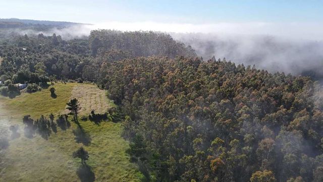 Vendo 11 Lotes Sector Costero (79372)