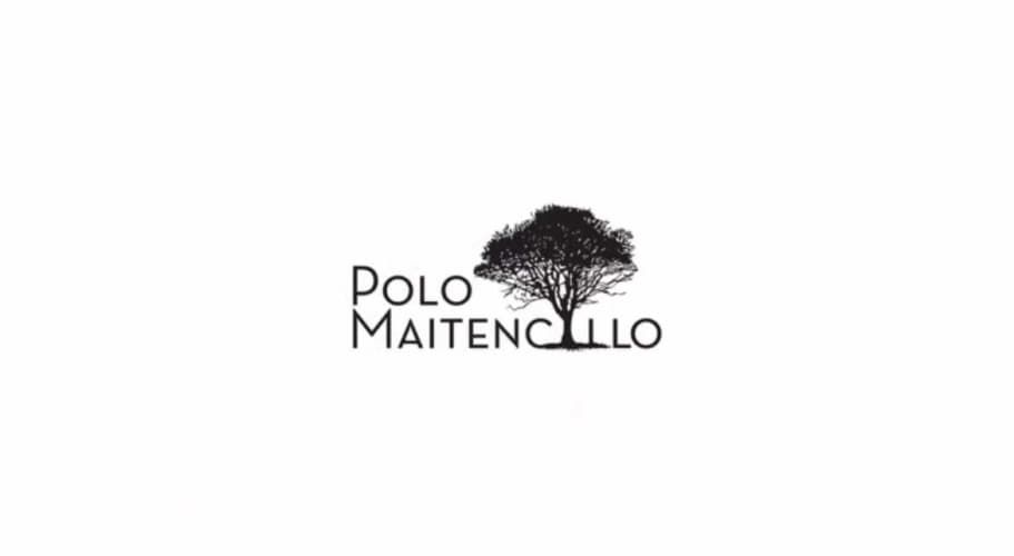 POLO MAITENCILLO (79459)