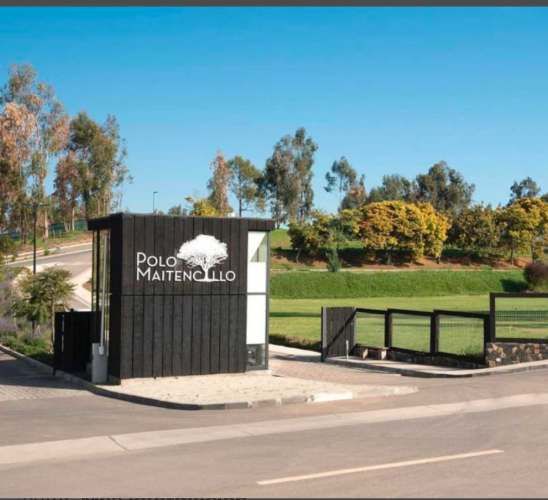 POLO MAITENCILLO (79459)