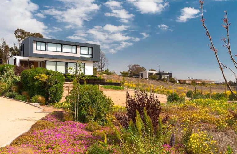 POLO MAITENCILLO (79459)