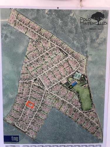 POLO MAITENCILLO (79459)