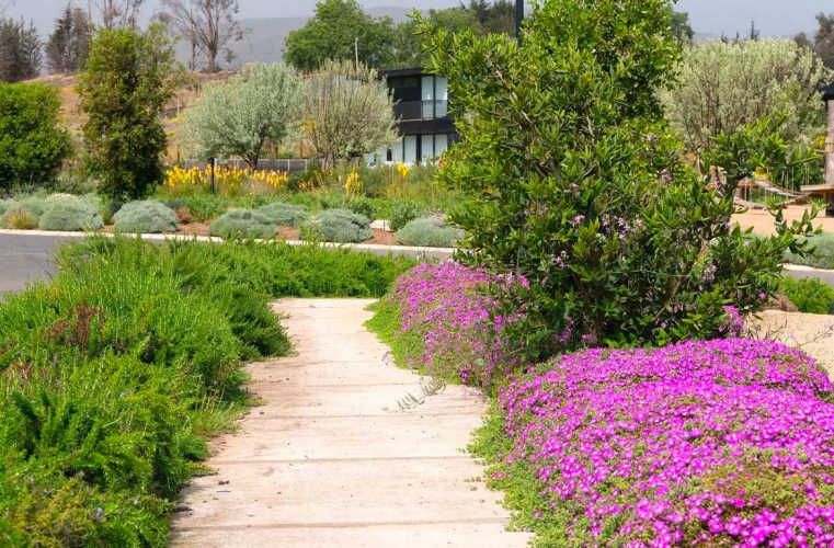 POLO MAITENCILLO (79459)