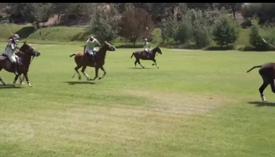 POLO MAITENCILLO (79459)