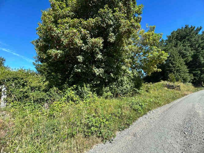 Vendo 1 HA, Terreno al lado del Fuerte San Luis, colinda con río Cruce