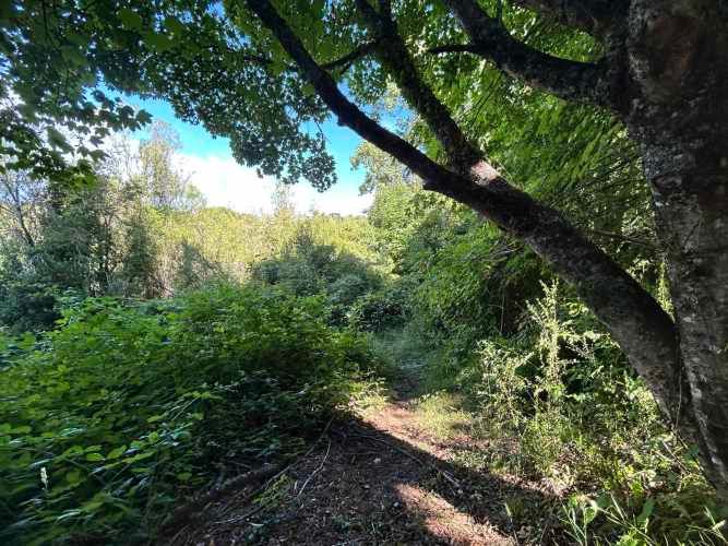 Vendo 1 HA, Terreno al lado del Fuerte San Luis, colinda con río Cruce