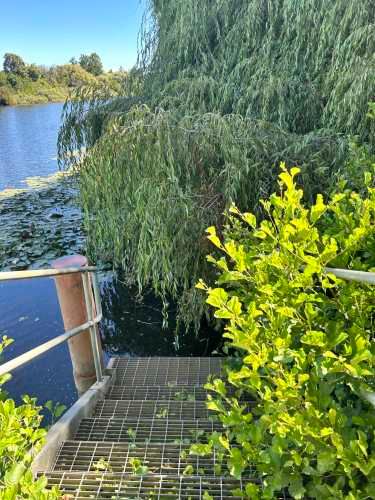 Vendo 1 HA, Terreno al lado del Fuerte San Luis, colinda con río Cruce