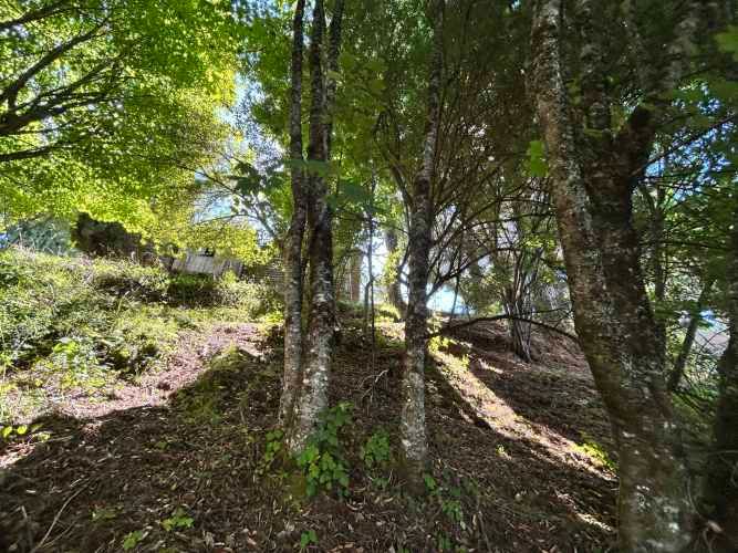 Vendo 1 HA, Terreno al lado del Fuerte San Luis, colinda con río Cruce