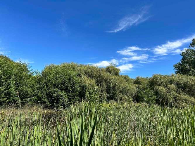 Vendo 1 HA, Terreno al lado del Fuerte San Luis, colinda con río Cruce