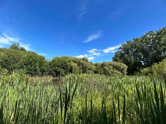 Vendo 1 HA, Terreno al lado del Fuerte San Luis, colinda con río Cruce