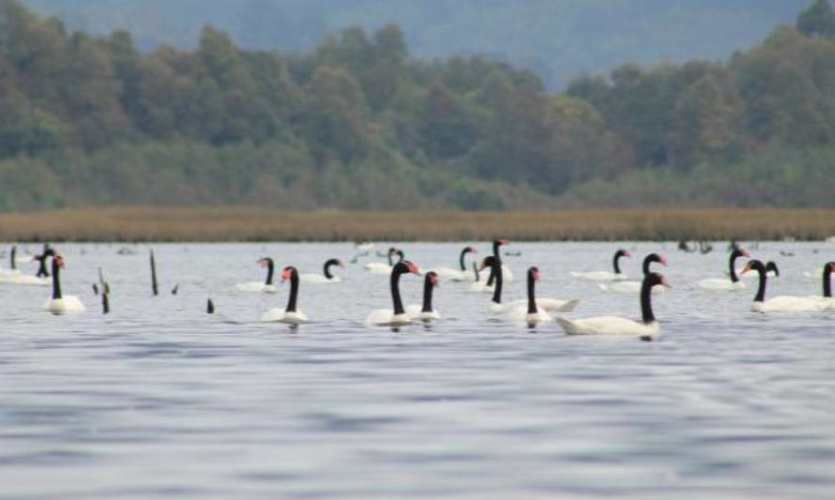 Vendo 1 HA, Terreno al lado del Fuerte San Luis, colinda con río Cruce