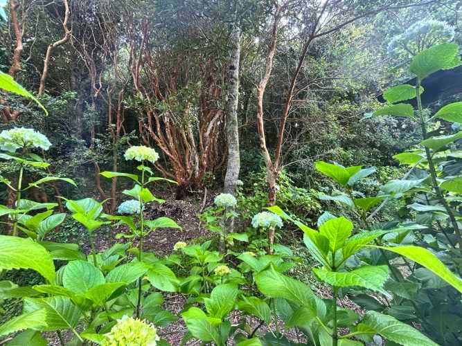 Vendo Parcela con casa en Condominio Calfuco, vista al mar.