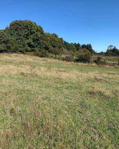 Pucón| 3 Hermosos Terrenos en Los Riscos con vistas al Lago y Volcán