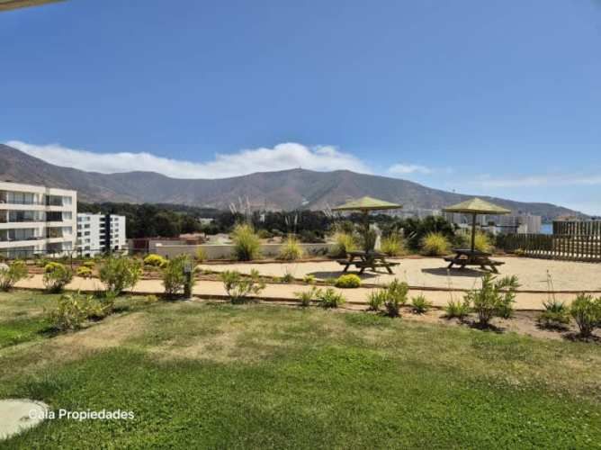 ¡TÚ PRÓXIMA INVERSIÓN EN PAPUDO TE ESPERA! 2D2B