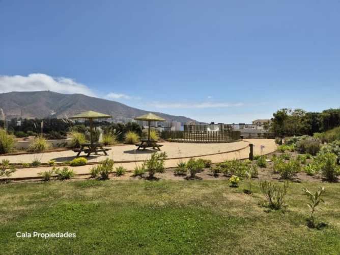 ¡TÚ PRÓXIMA INVERSIÓN EN PAPUDO TE ESPERA! 2D2B