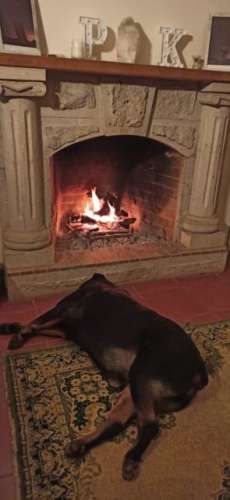 PARCELA Sector Urbano de Vicuña/A 3,5 Kl del centro de la ciudad