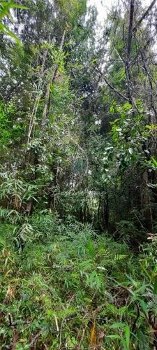 PARCELA Parcela a 20 min del centro de Puerto Varas, Sector Línea Nueva