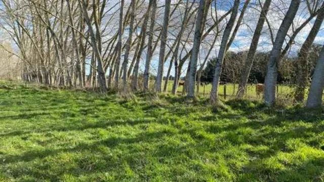 PARCELA A 20 min de Frutillar ruta v200