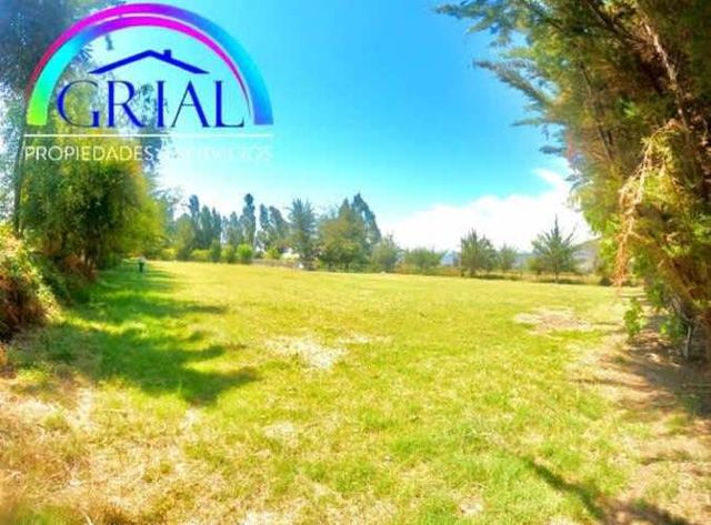 Parcela urbanizada de 5.500 M2 más casa en El Monte