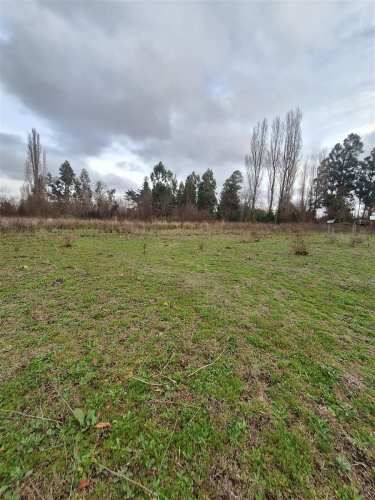 PARCELA Ruta Q-117 Los Angeles Caliboro