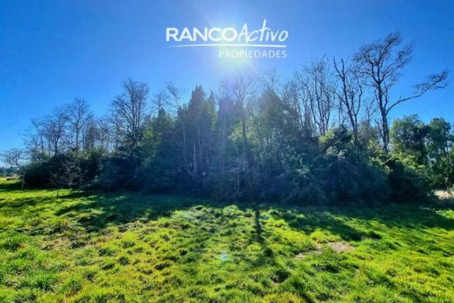 PARCELA La Reserva de Frutillar