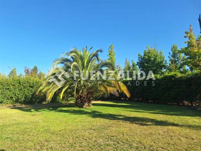 PARCELA Camino Loreto Lonque sur Taalgante