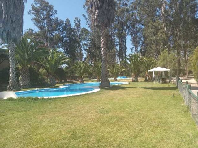 Parcela Las Forestas de Zapallar. (80867)