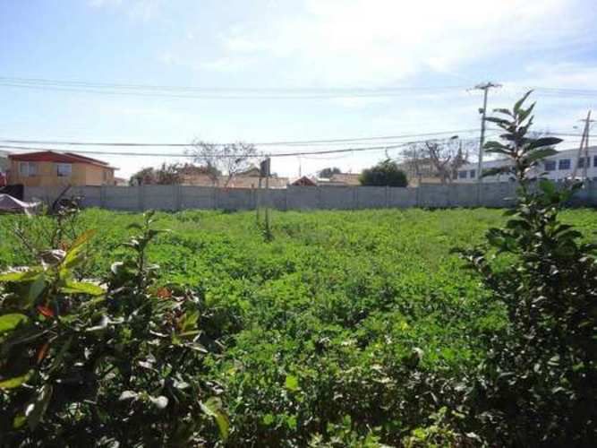 Sitio TERRENO SECTOR SEMINARIO CON PAMPA BAJA LA SERENA