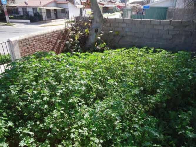 Sitio TERRENO SECTOR SEMINARIO CON PAMPA BAJA LA SERENA