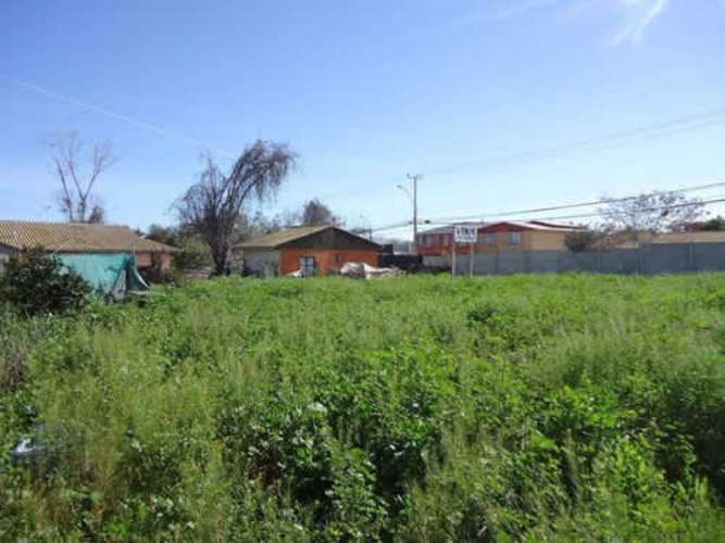 Sitio TERRENO SECTOR SEMINARIO CON PAMPA BAJA LA SERENA