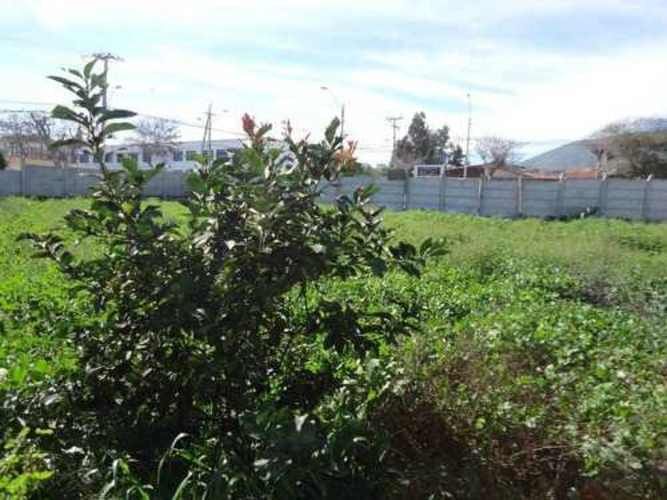 Sitio TERRENO SECTOR SEMINARIO CON PAMPA BAJA LA SERENA