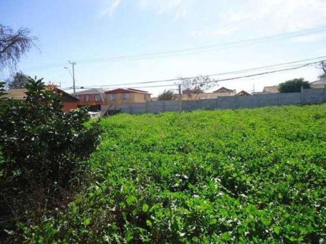 Sitio TERRENO SECTOR SEMINARIO CON PAMPA BAJA LA SERENA