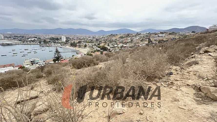 Sitio SITIO EN VENTA LA HERRADURA (13)