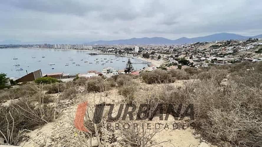 Sitio SITIO EN VENTA LA HERRADURA (13)