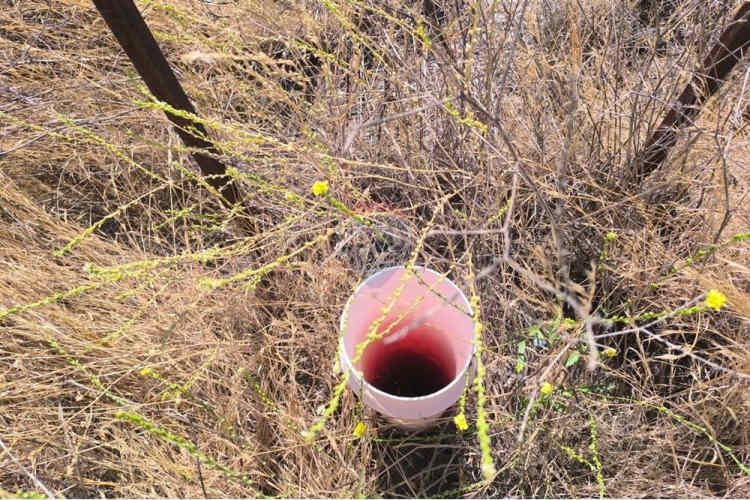 Oportunidad terreno en batuco