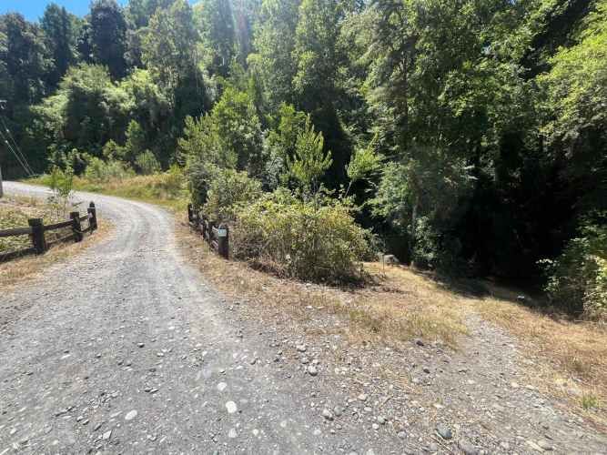 VENTA PARCELA 5000MTS Freire