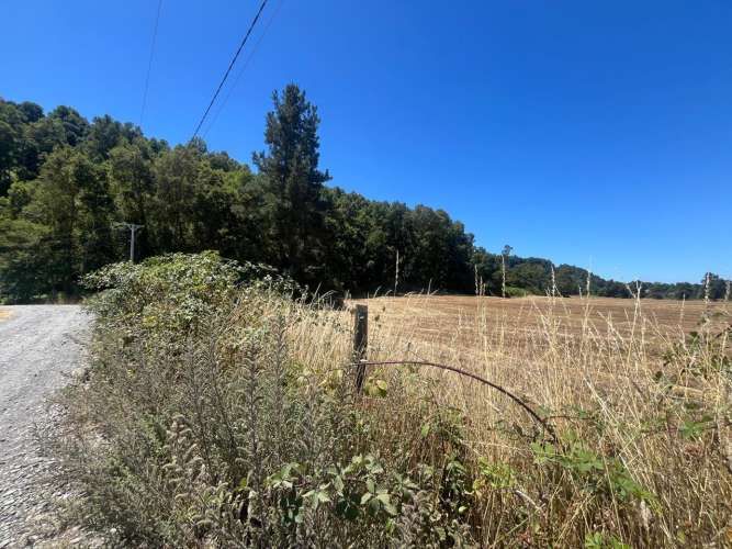 VENTA PARCELA 5000MTS Freire