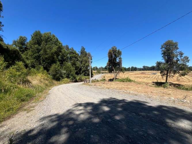 VENTA PARCELA 5000MTS Freire