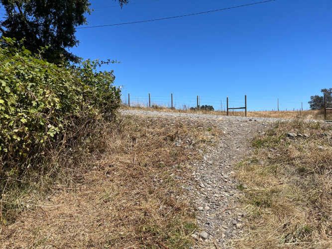 VENTA PARCELA 5000MTS Freire