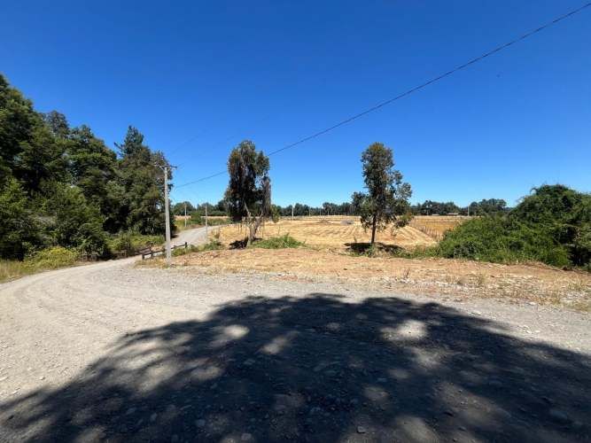 VENTA PARCELA 5000MTS Freire