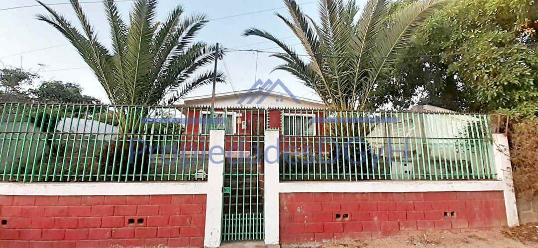 Gabriel Gonzalez Videla // Peyronet (81132)