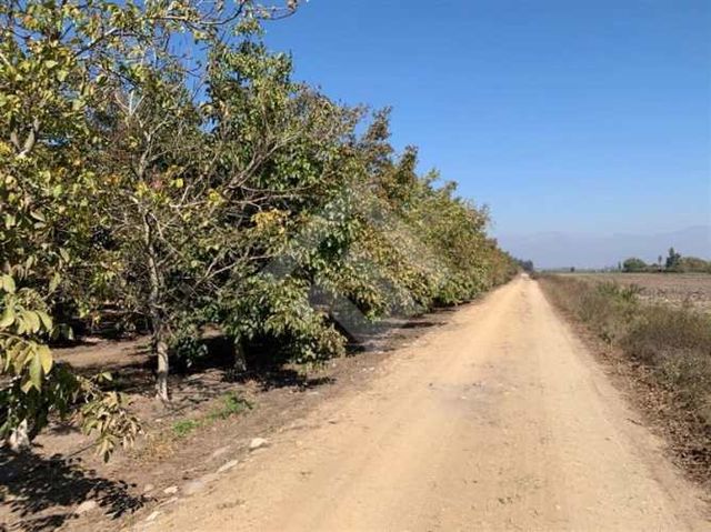 PARCELA Condominio El Oliveto