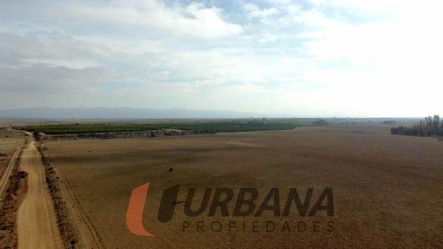 Agrícola AMPLIO TERRENO EN CERRILLOS DE TAMAYA