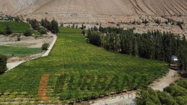 Parcela PARCELA EN LOTEO MIRAFLORES 7900M2