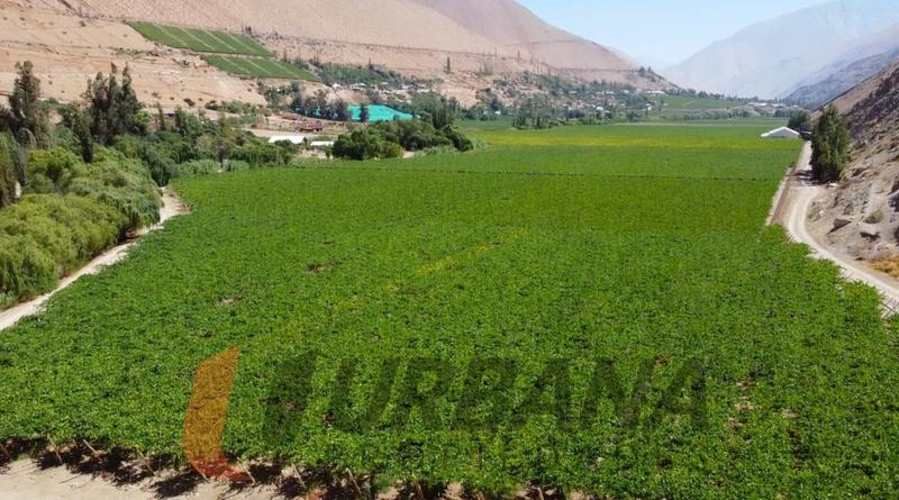 Parcela PARCELA EN LOTEO MIRAFLORES 5.300M2