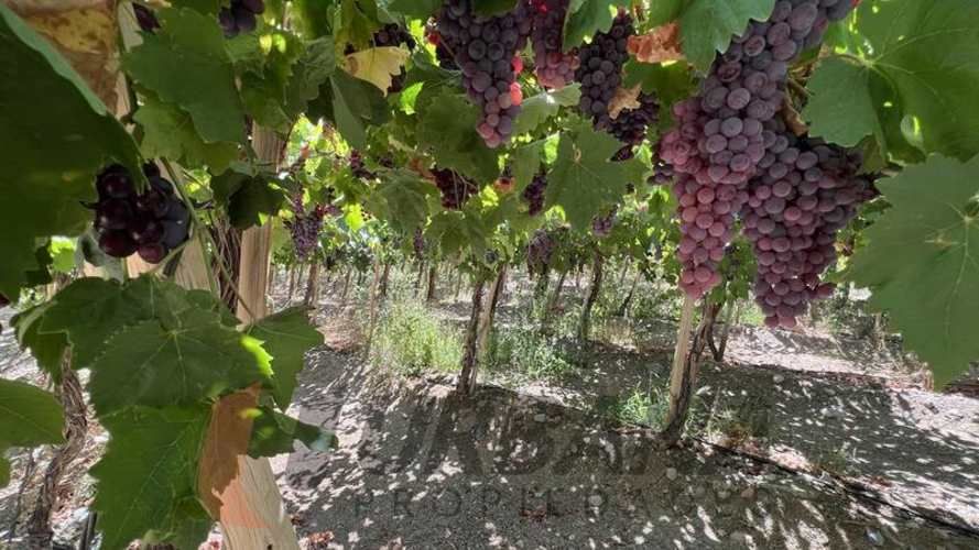 Parcela PARCELA EN LOTEO MIRAFLORES 5.300M2