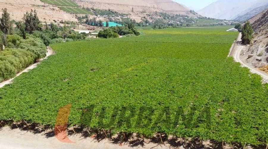 Parcela PARCELA EN LOTEO MIRAFLORES 5.300M2