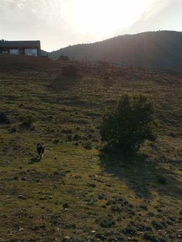 PARCELA Lomas de Marchihue