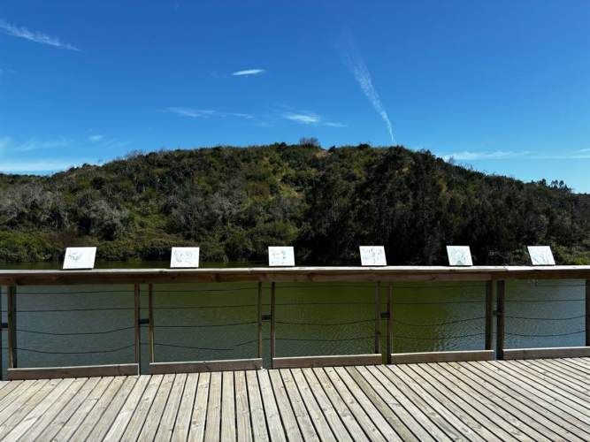 PARCELA Fundo Santa Rosa de Bucalemu