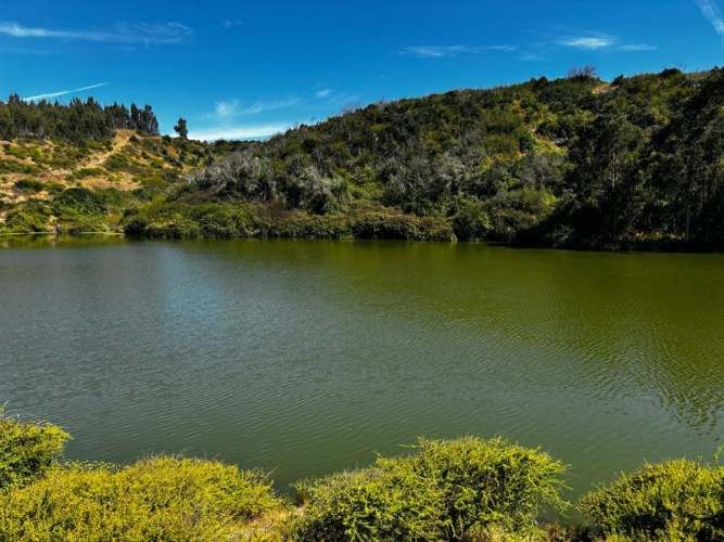 PARCELA Fundo Santa Rosa de Bucalemu